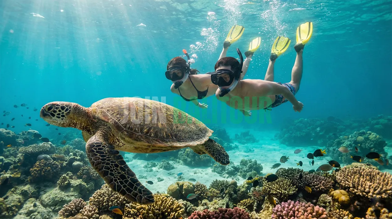 Bali Snorkeling & Turtle Island Tours